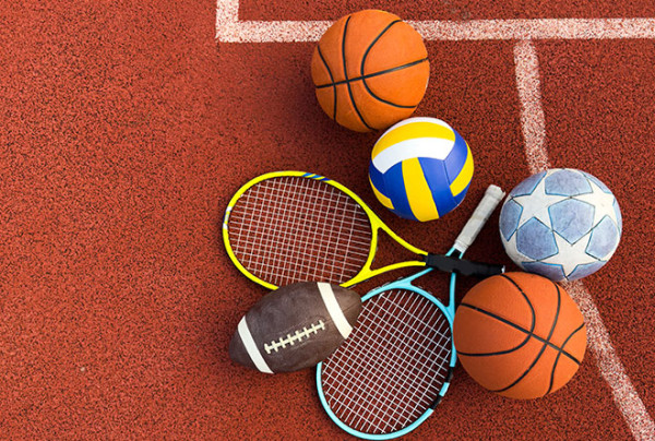 Novela zákona o sportu