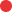 Ikona